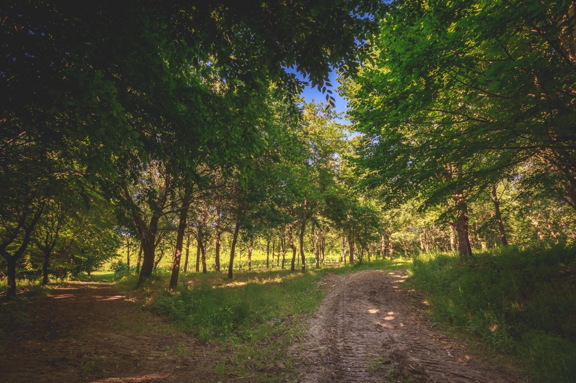 Villa La Meridiana Alba  Luaran gambar